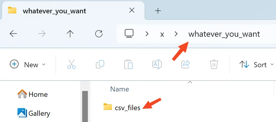 create csv_files folder